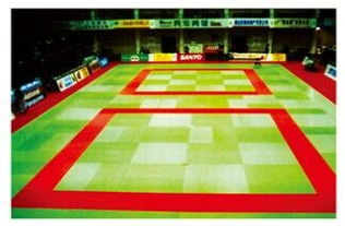 衡水柔道墊批發(fā)，全國(guó)認(rèn)準(zhǔn)籃鯨品牌，優(yōu)質(zhì)體育器材專業(yè)之選